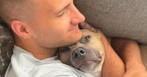 Couple Adopts a Pit Bull and Discovers Cool Facts About the
Breed