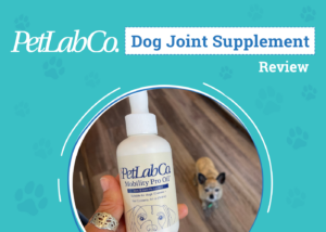 PetLab Co. Mobility Pro Oil Review 2024: An Expert’s
Breakdown