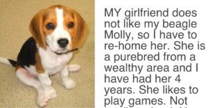 Girlfriend Gave Her Boyfriend An ‘Ultimatum’, Demands Either
“The Dog Goes” Or “She Goes”