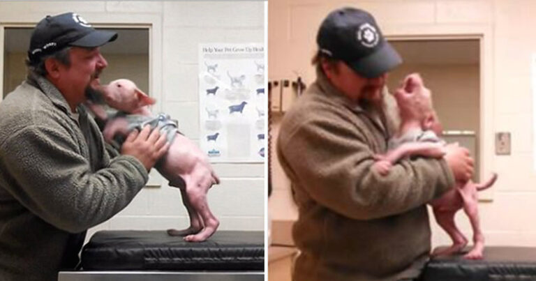 Guy Returns To Adopt The Dog He Rescued, And The Pup
Couldn’t Be Happier