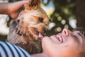 10 Dog Breeds That Form the Strongest Bonds with Their
Owners