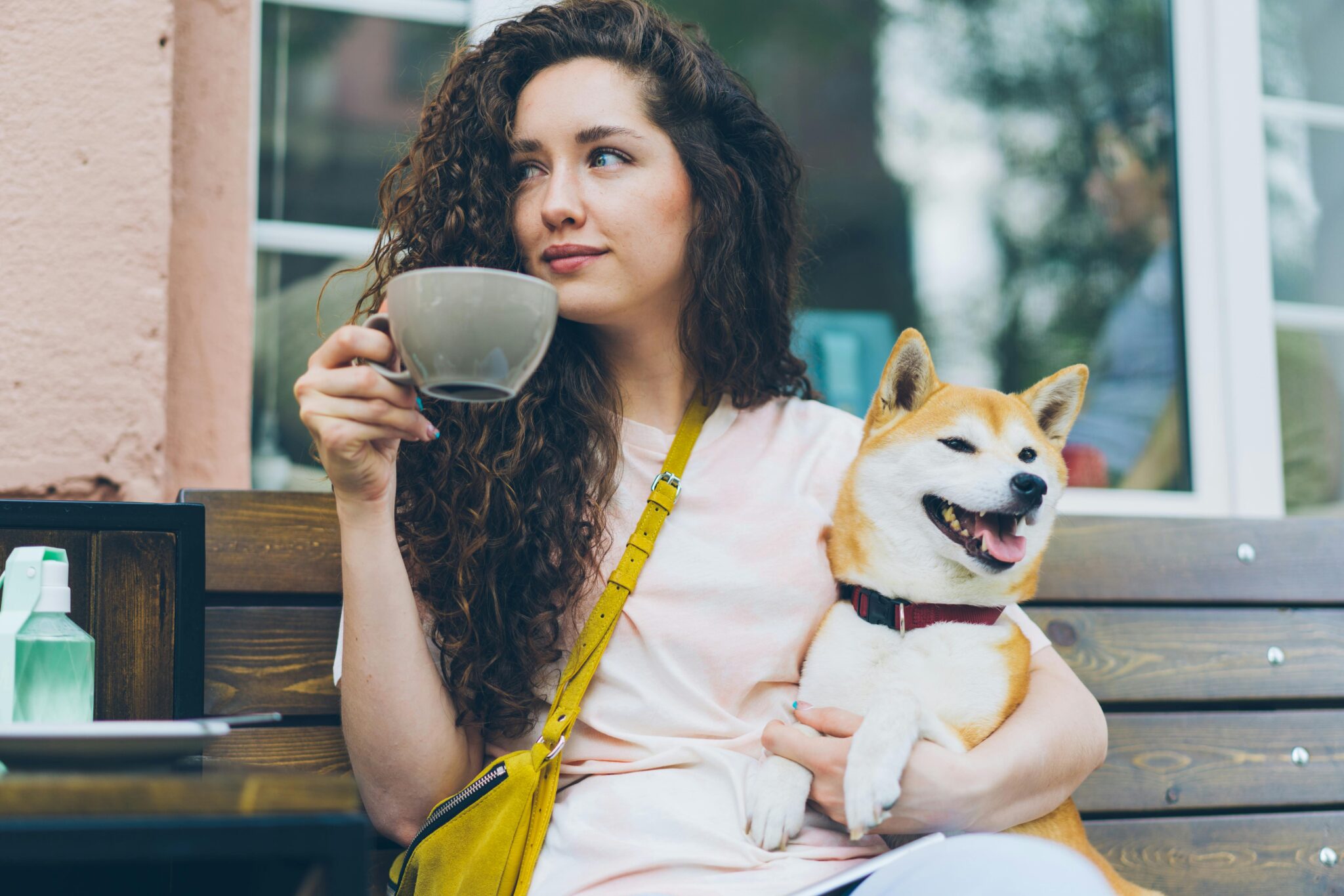 11 Dog Breeds for Singles in Their 30s and 40s