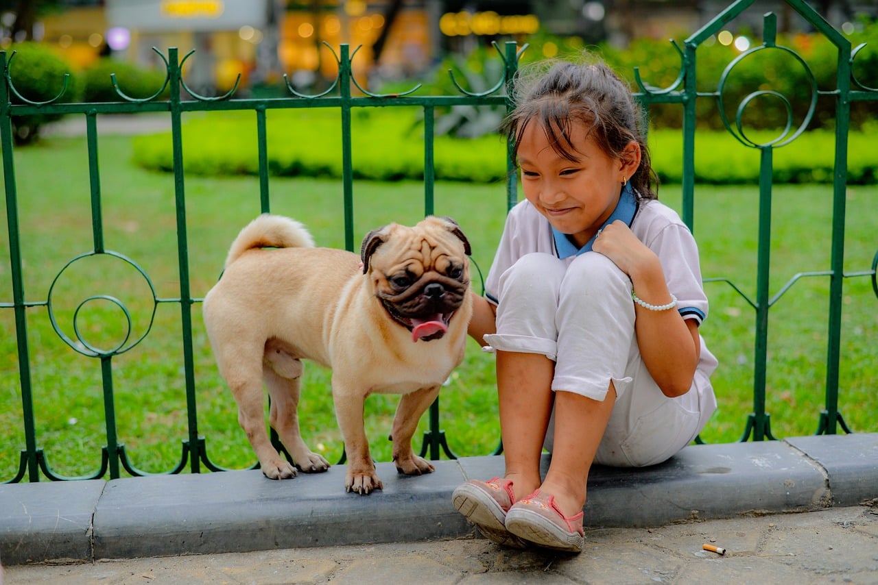 12 Best Dog Breeds for Kids Under 10 Years Old