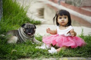 12 Best Dog Breeds for Kids Under 5 Years Old