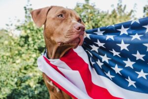 15 Dog Breeds That Are Made In The USA