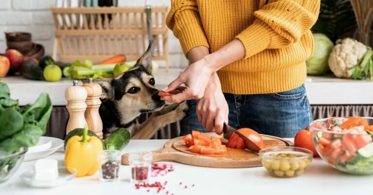 5 Natural Ways To Help Relieve Your Dog’s Allergies