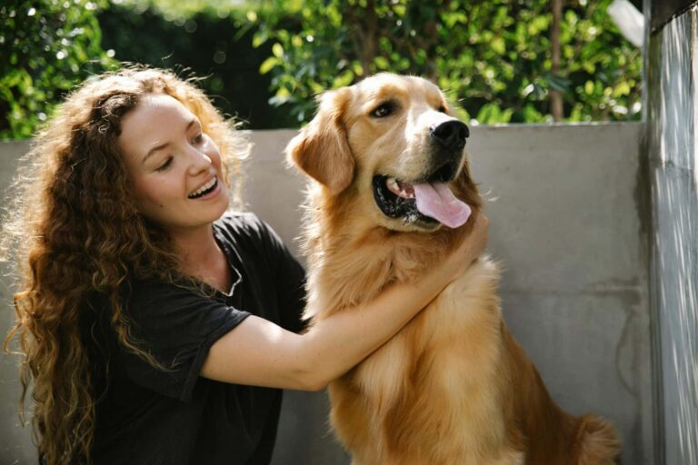 7 Telltale Signs You’re A Golden Retriever Parent