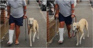 After Expensive Checkup, Man Learns Limping Dog Was Showing
His Solidarity