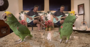 Bird Goes Mega-Viral After Rocking Out To His ‘Favorite’
Song