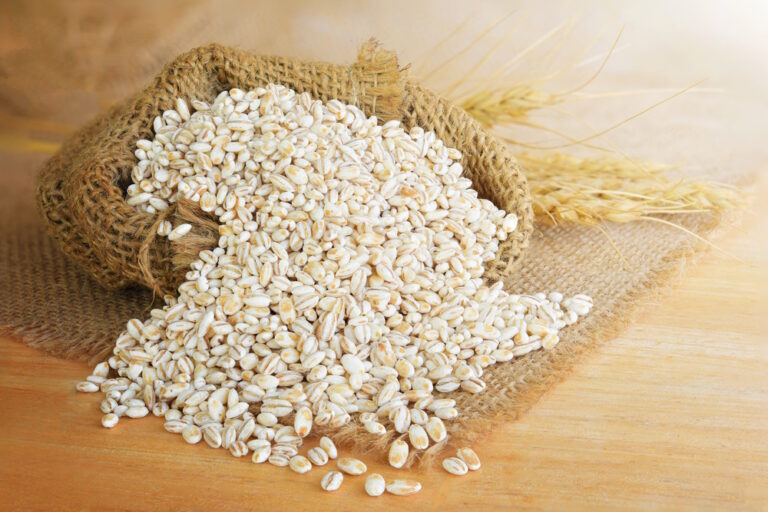 Can Dogs Eat Barley? Vet-Verified Nutrition Facts &amp;
Info