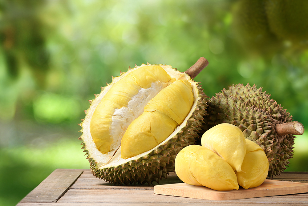 Durian fruit