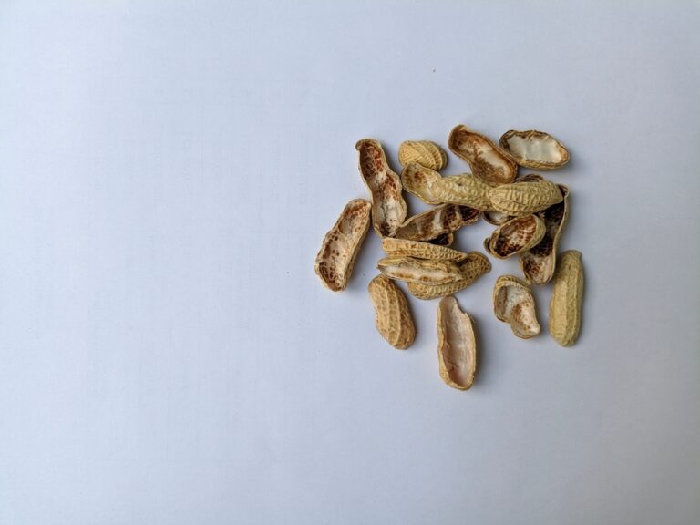 Can Dogs Eat Peanut Shells? Vet-Reviewed Nutrition Facts
&amp; Info