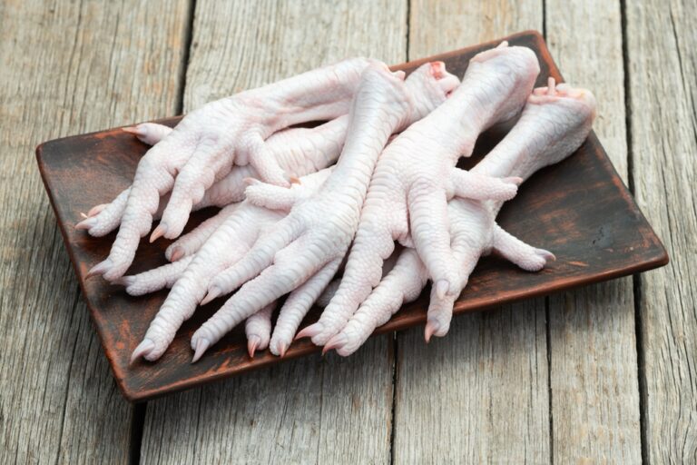 Can Dogs Eat Raw Chicken Feet? Vet-Verified Nutrition Facts
&amp; Info