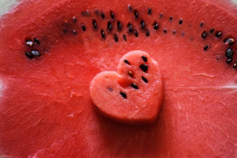 Can Dogs Eat Watermelon Seeds? Vet-Verified Nutrition Facts
&amp; Info