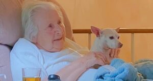 Dog Gives 100-Year-Old Woman The Motivation To
Thrive