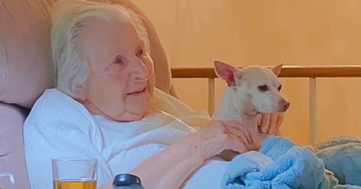 Dog Gives 100-Year-Old Woman The Motivation To
Thrive