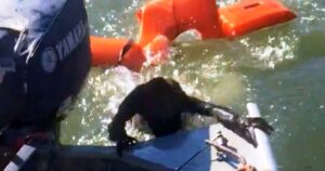 Fisherman Throws A Life Jacket To Save A Drowning Dog But
It’s ‘Not A Dog’ At All