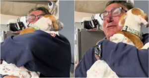 Man Cries When Daughter Hands Him A Puppy To Mend His
Grieving Heart