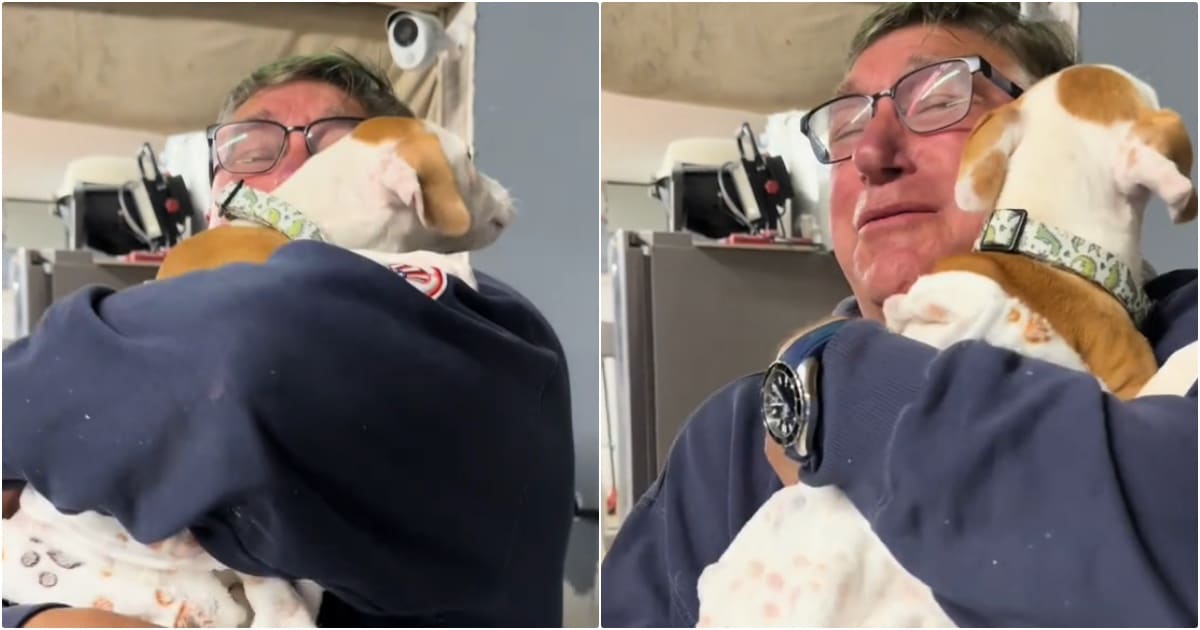 Man Cries When Daughter Hands Him A Puppy To Mend His
Grieving Heart