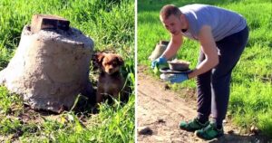 Man Thought He Saving A Puppy But He Got Ambushed
Instead