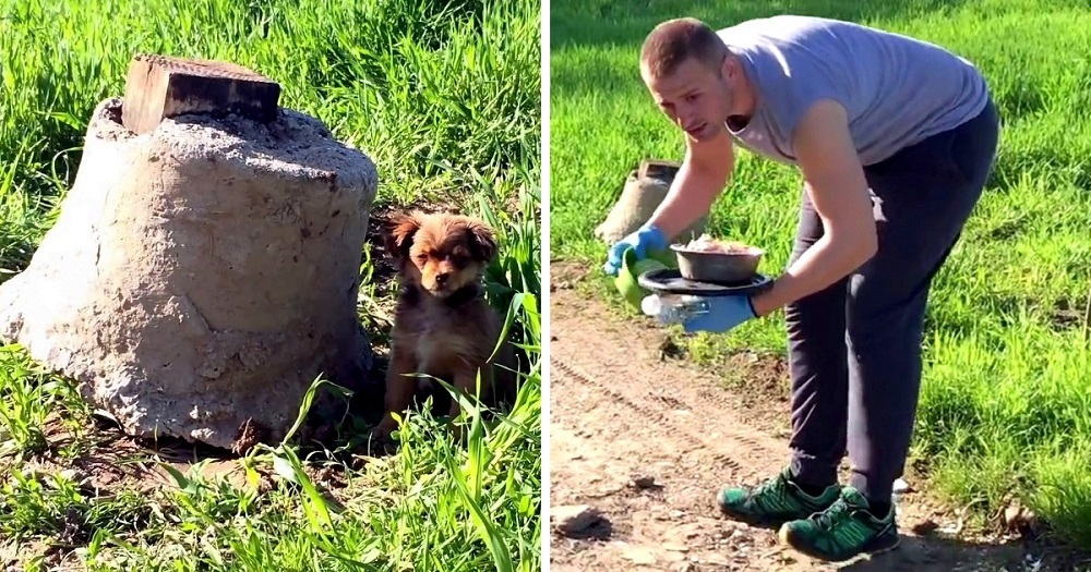 Man Thought He Saving A Puppy But He Got Ambushed
Instead