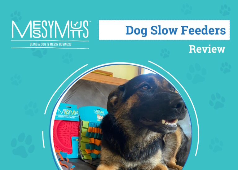 Messy Mutts Feeding Mats Review 2024: An Expert’s
Breakdown