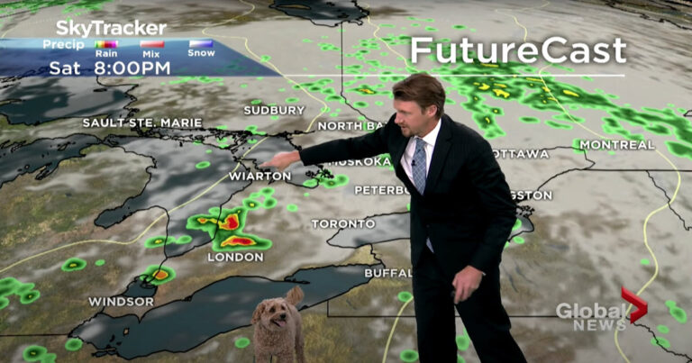 Meteorologist’s Dog ‘Interrupts’ Weathercast In Search Of
Treats