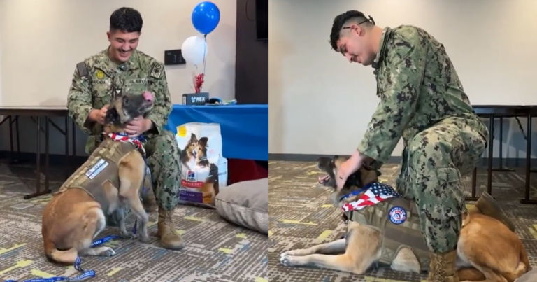 Military Dog Reunites with Former Miliary Trainer After
Years Apart