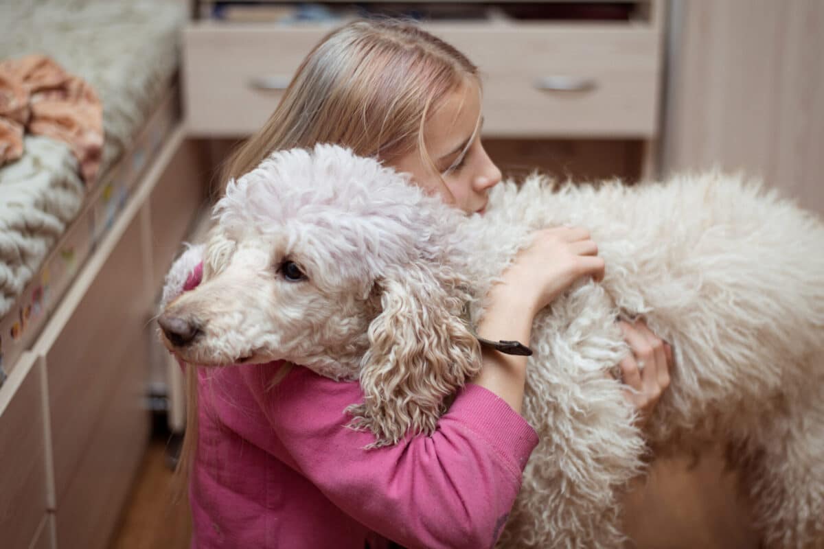 The 8 Most Empathetic Dog Breeds