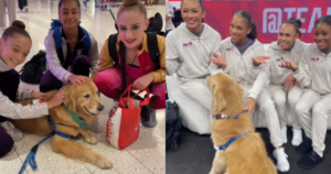 The Golden Retriever Who Brings Comfort and Joy to the U.S.
Gymnastics Team