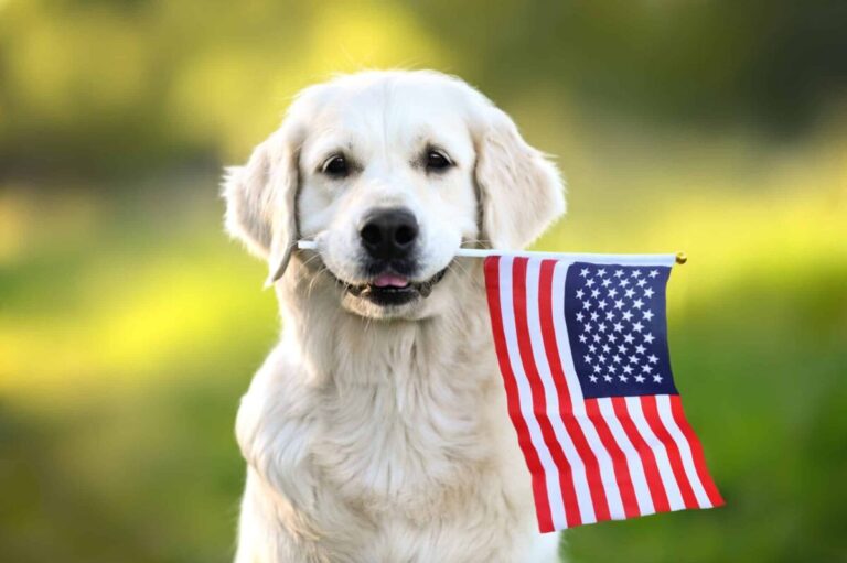 The Official Dog Breeds of 13 US States