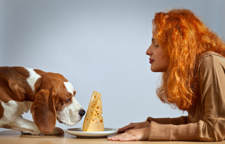 Why Do Dogs Love Cheese So Much? Vet-Reviewed Facts
&amp; Considerations