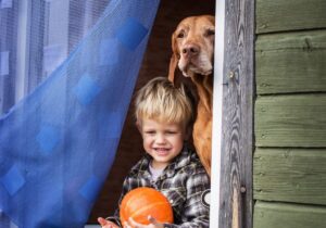 10 Dog Breeds That Love Kids the Most