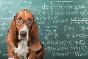 10 Surprising Signs Your Dog Is Actually a Genius