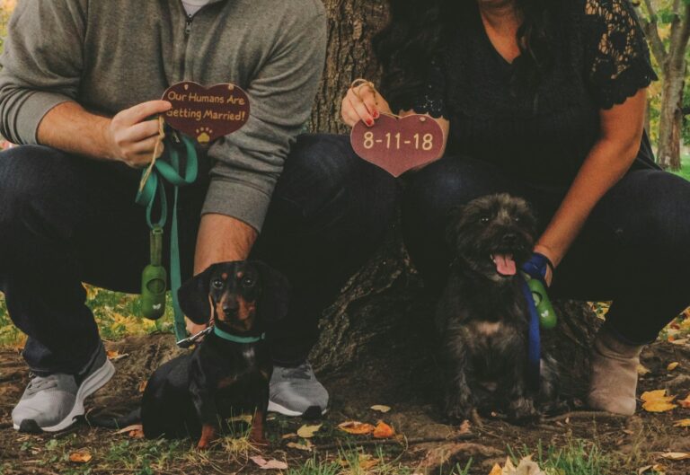 10 Tips for Engagement Photos With Your Dog (2024)