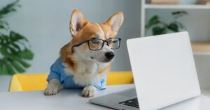 11 Dog Breeds Most Likely To Become Social Media
Influencers