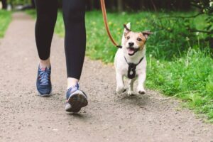 15 Reasons Why Your Dog Is Better Than Your Fitness
Tracker