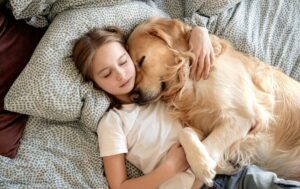 7 Dog Breeds That Are The Perfect Snuggle Buddies On A Cozy
Night