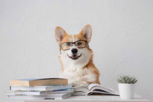 9 Signs Your Dog Is Trying to Outsmart You