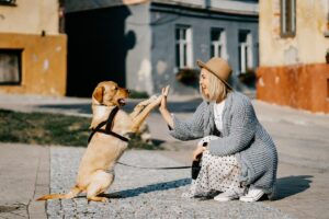 9 Signs Your Dog Is Trying to Teach You Life Lessons