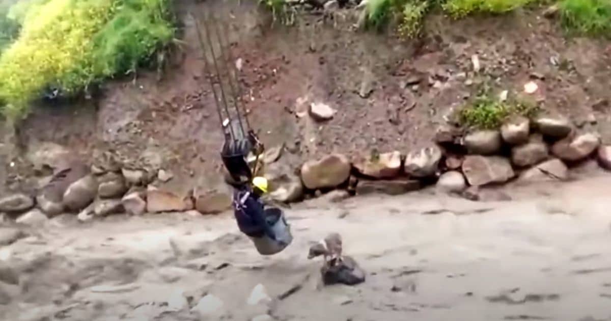 Brave Construction Worker Swings Over River in Crane Bucket
to Save Lost Dog