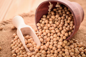 soybeans with wooden spoon with sack close up