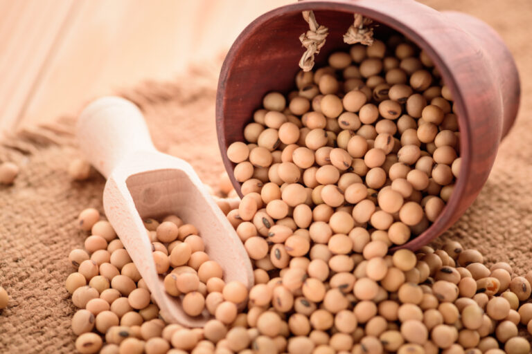 Can Dogs Eat Soy? Vet-Reviewed Nutrition Facts &amp;
Info