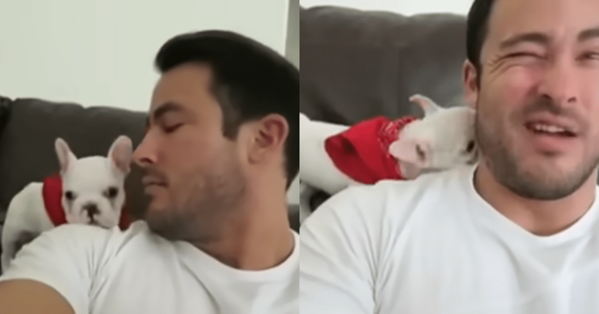 Charming Puppy’s Hilarious Struggle with Compliments from
His Owner