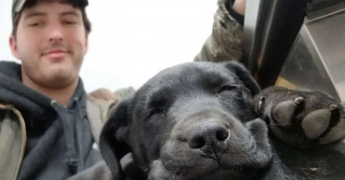 Deaf Man Adopts Deaf Rescue Puppy and Teaches Him Sign
Language