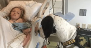 Family Rewards Service Dog with the ‘Best Day Ever’ for His
Dedication