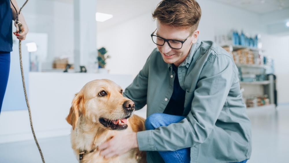 golden retriever dog and his owner in waiting room at vet clinic