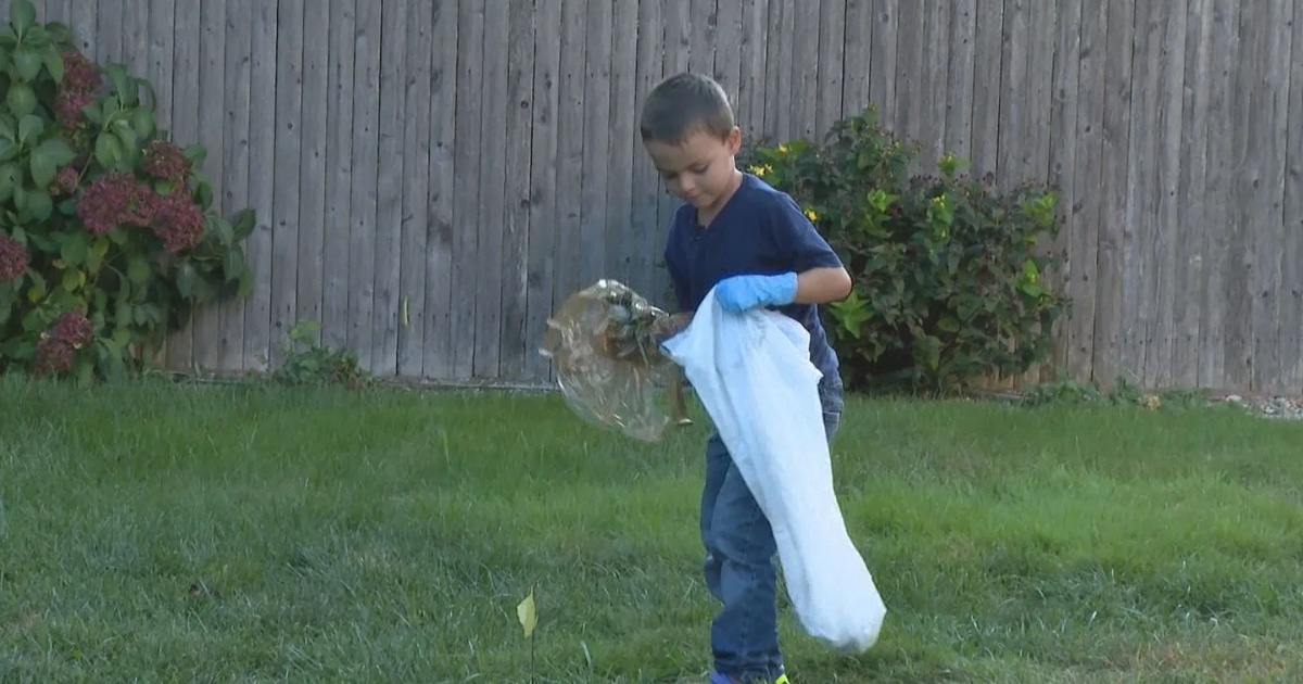 Little Boy Launches ‘Poop Scooping’ Business to Adopt a Cat
and Support Other Shelter Animals