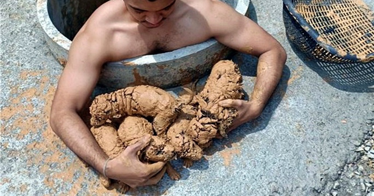 Man Rescues Muddy Puppies From A Well And Then He Washed The
Mud Away