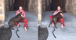 Parents Gift Daughter the Shelter Dog She Had Been Caring
for and Loving